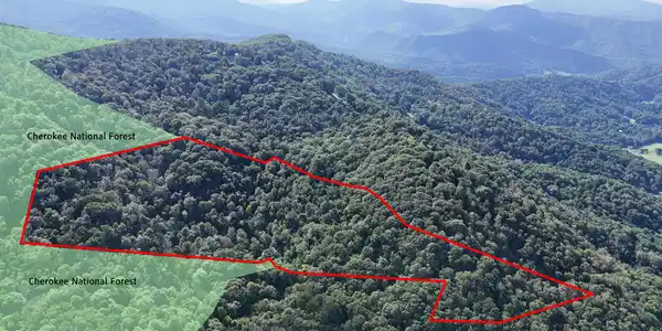 11.26ac Log Cabin Lane