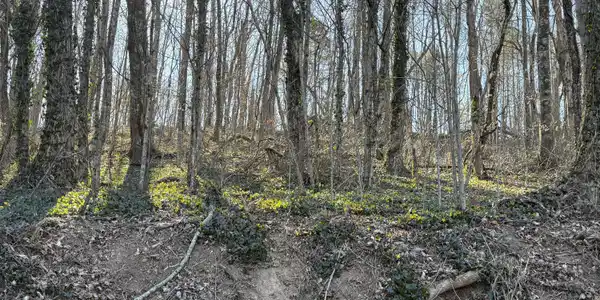 Lots 1-4 Bishop Hollow Road