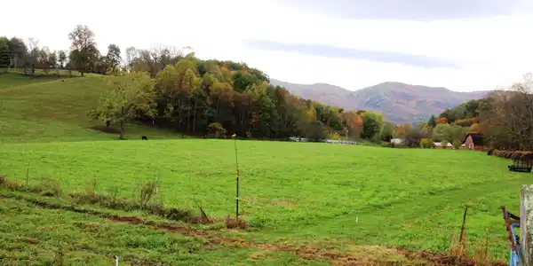 Image 4: 1
