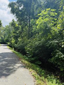 0 Log Cabin Lane
