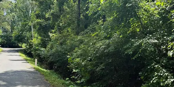 0 Log Cabin Lane