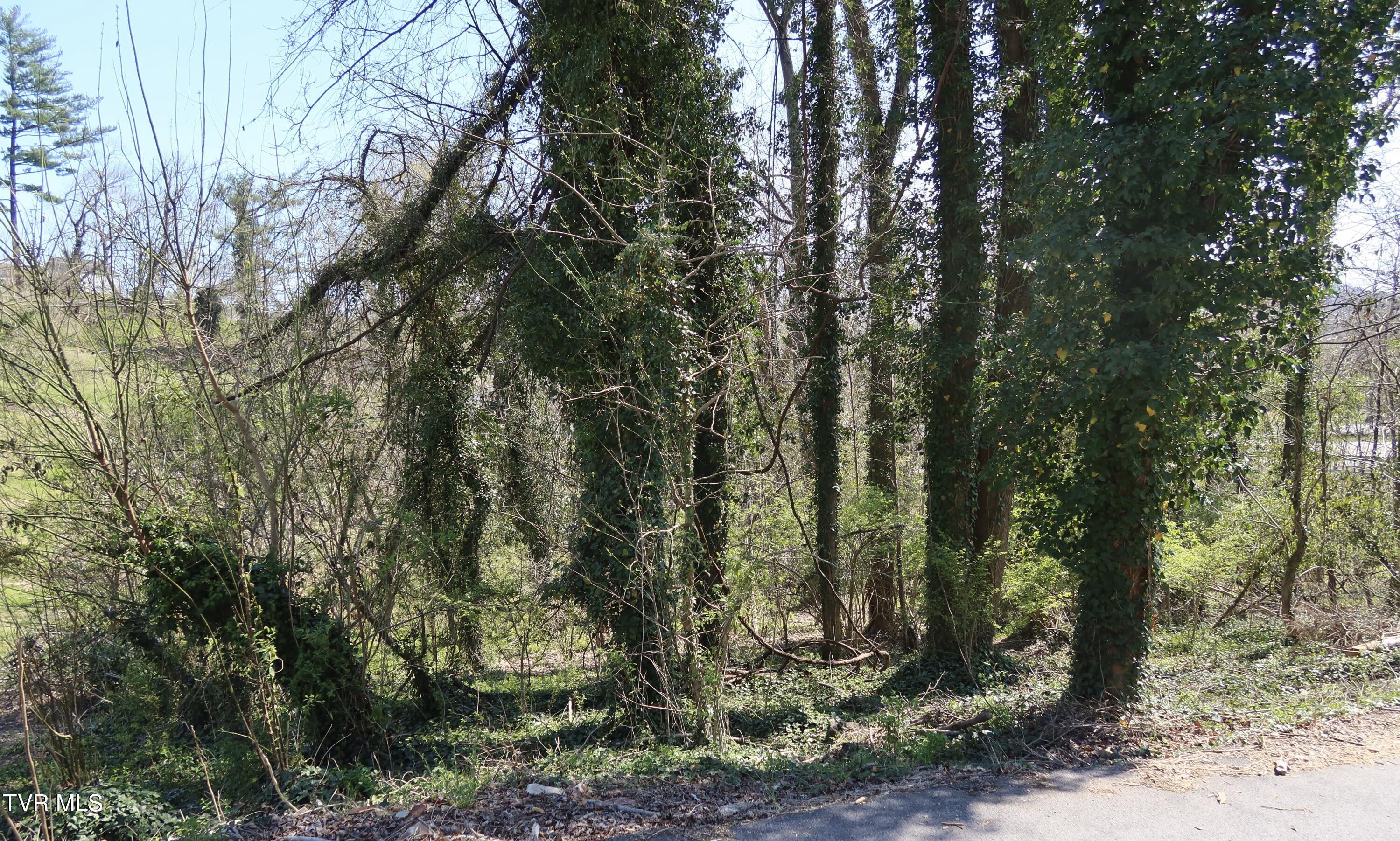 Image 3: IMG_8235 2