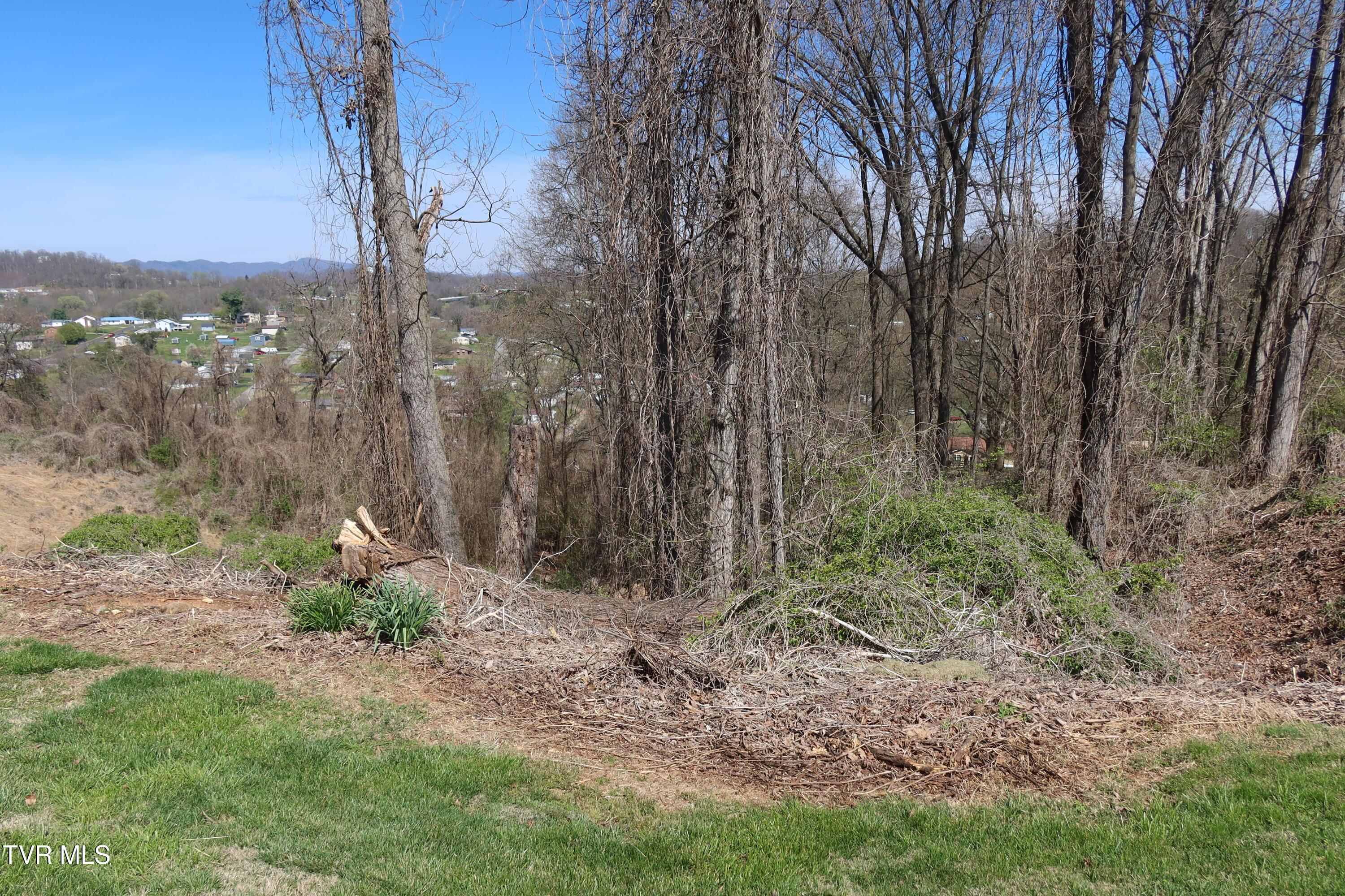 Image 2: IMG_8222