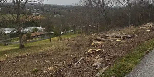 Image 4: Free Hill.jpeg3