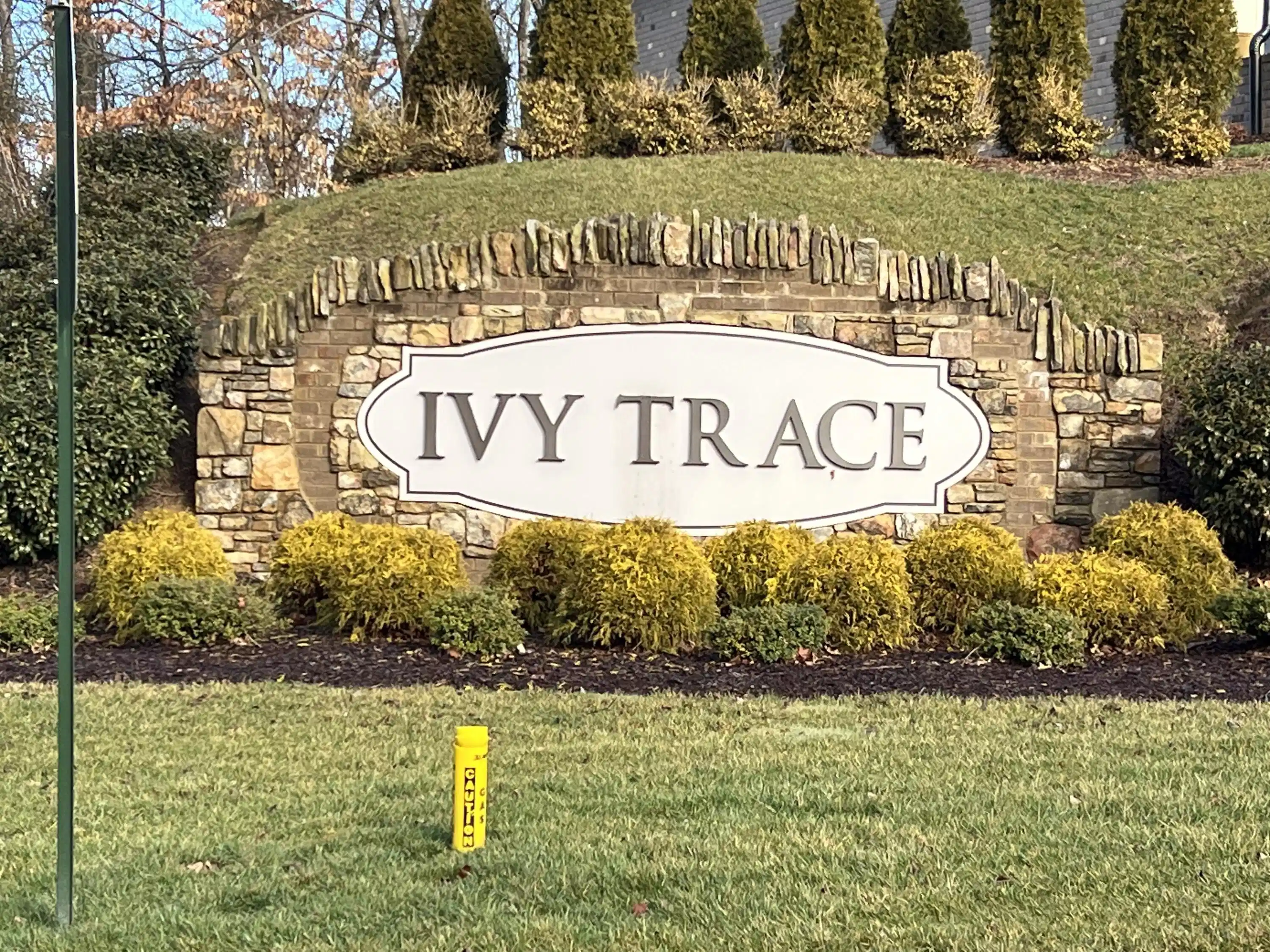 Image 1: Ivy Trace Entrance
