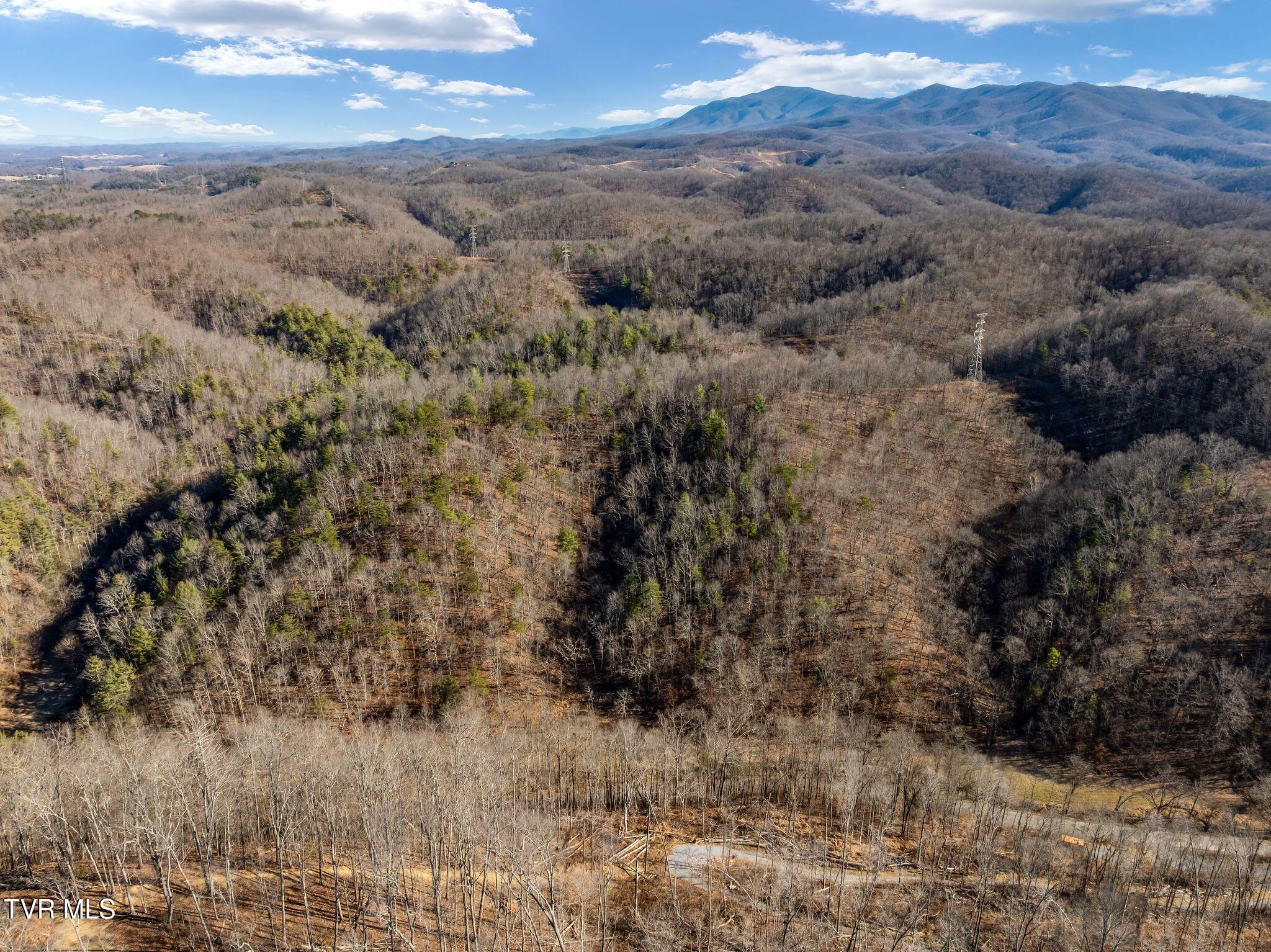 Image 3: DJI_0061