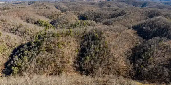 Image 3: DJI_0061
