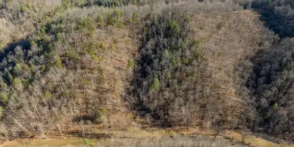 Image 4: DJI_0066