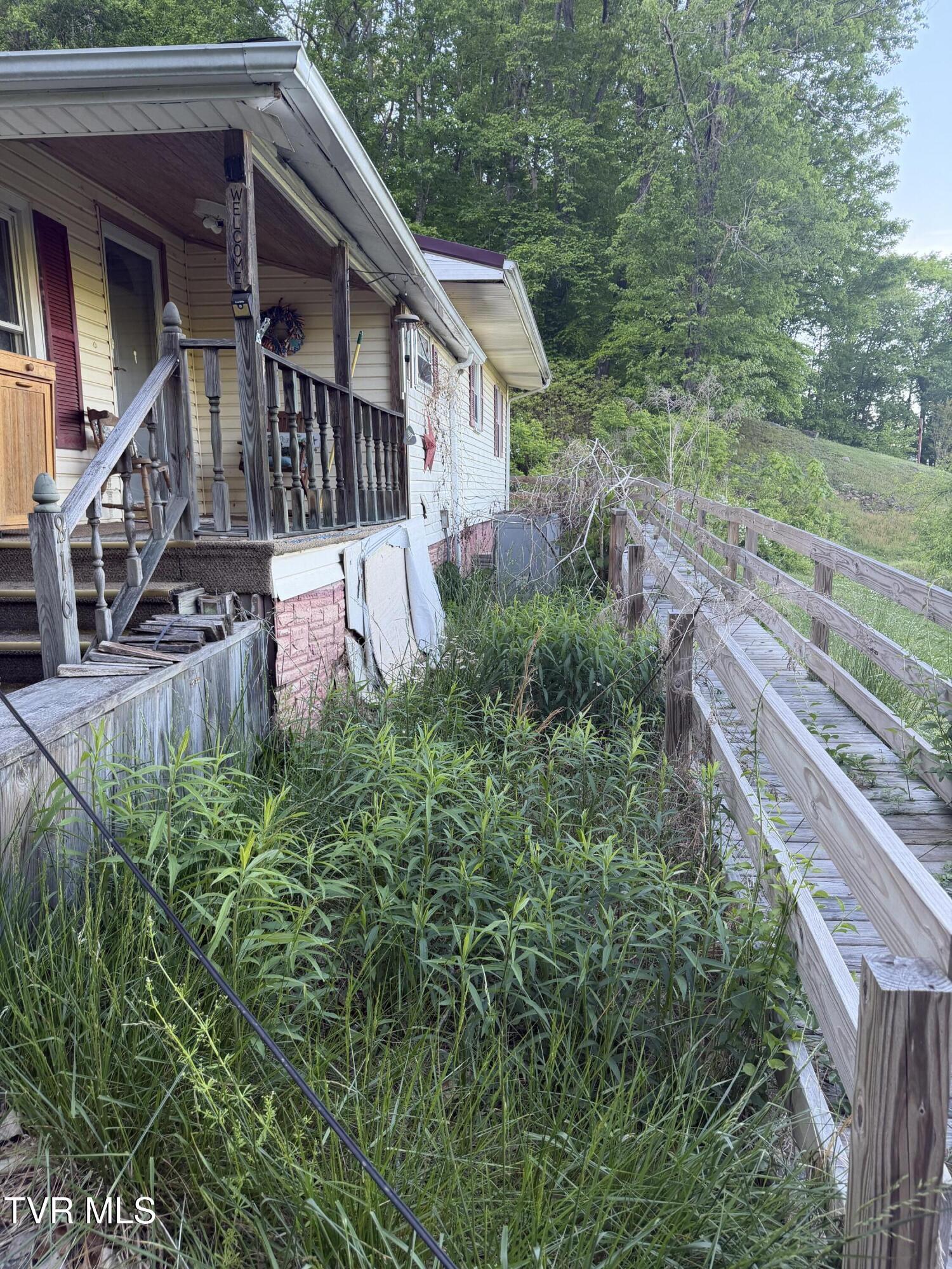 Image 3: IMG_1899