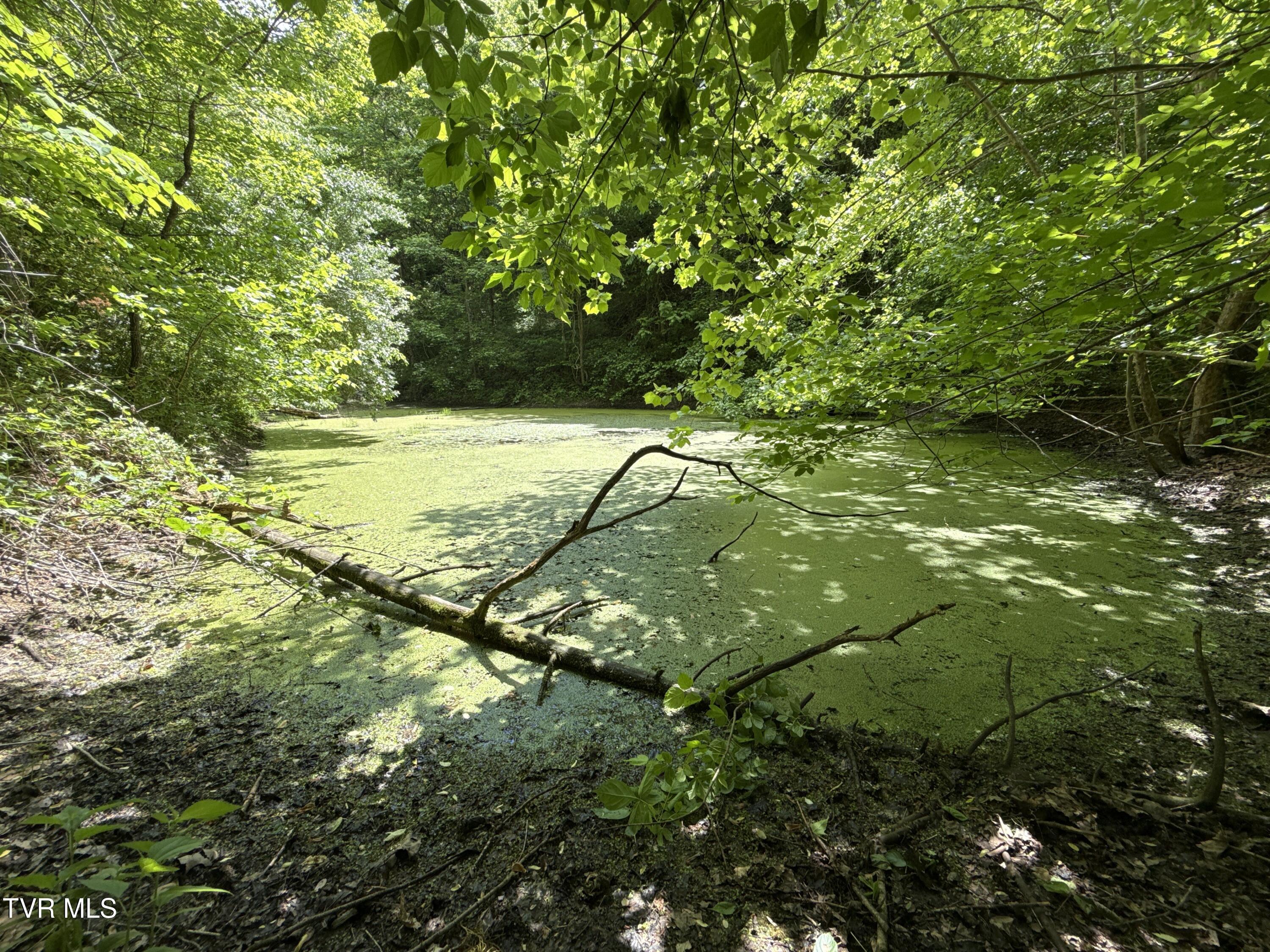 Image 3: _Pic4 (43)