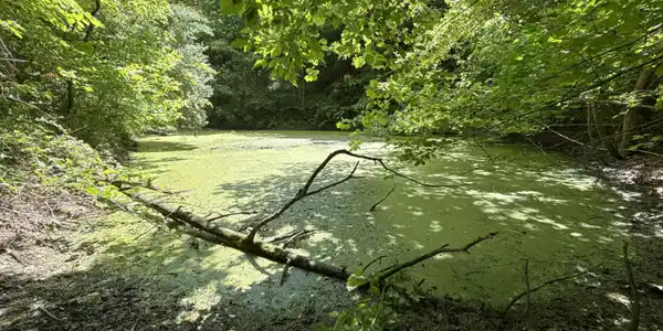 Image 3: _Pic4 (43)