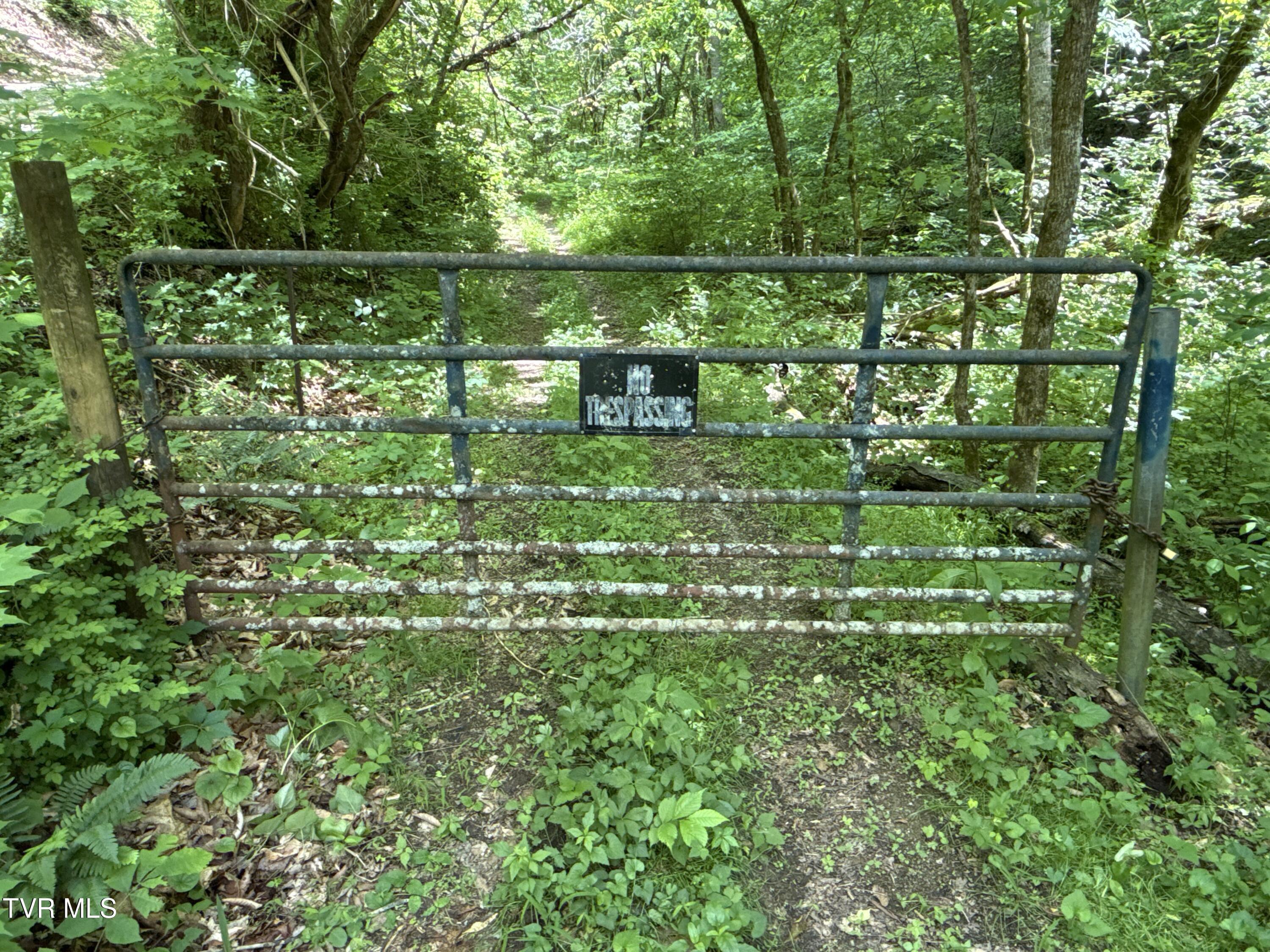 Image 4: _Pic1 (48)