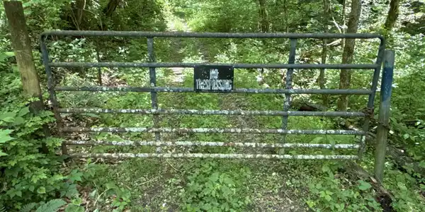 Image 4: _Pic1 (48)