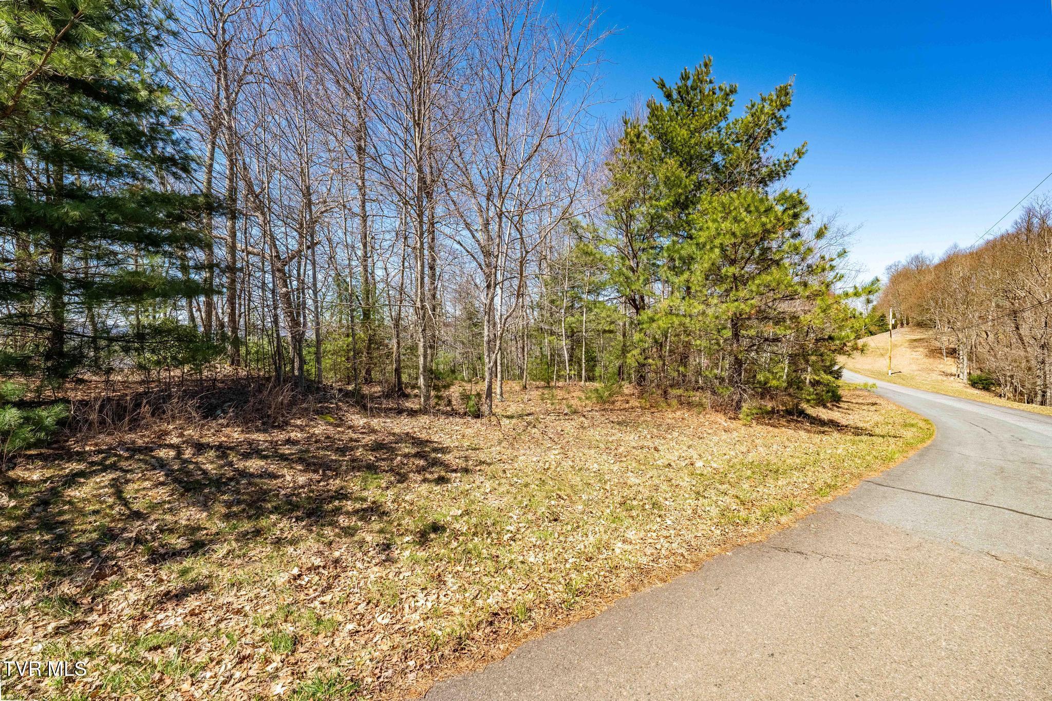 Image 2: TBD Callalantee Dr (20 of 27)