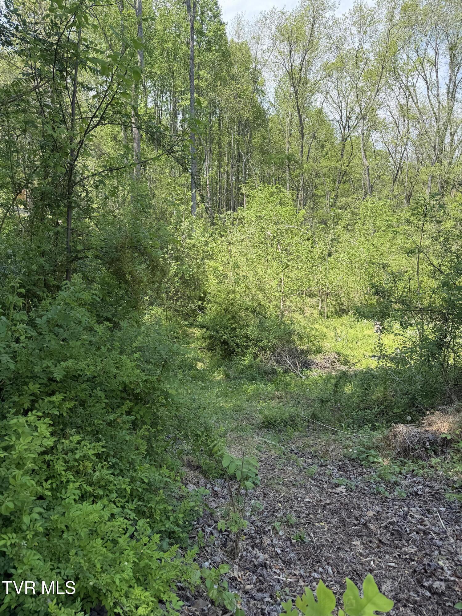 Image 3: IMG_2371