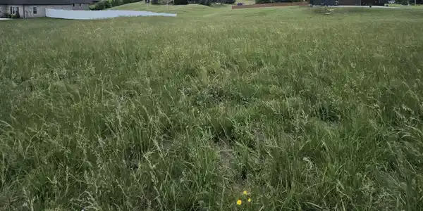 0 Cattlemans Trail