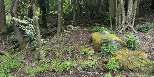 Image 2: IMG_0872