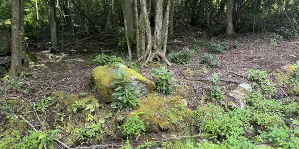 Image 3: IMG_0871