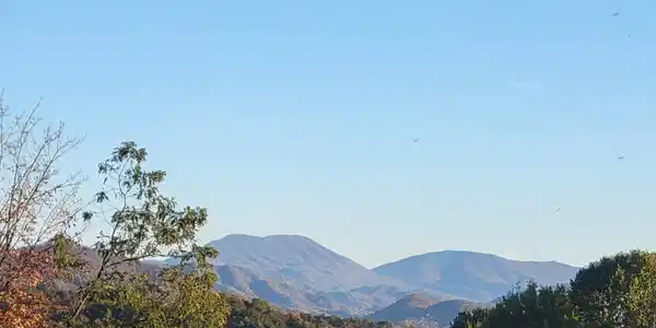 Image 2: 1000004770