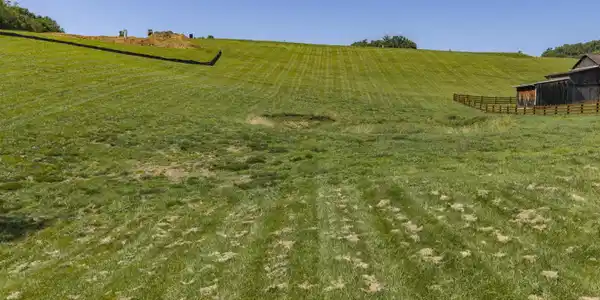 Image 4: Lot17-Aerials-4