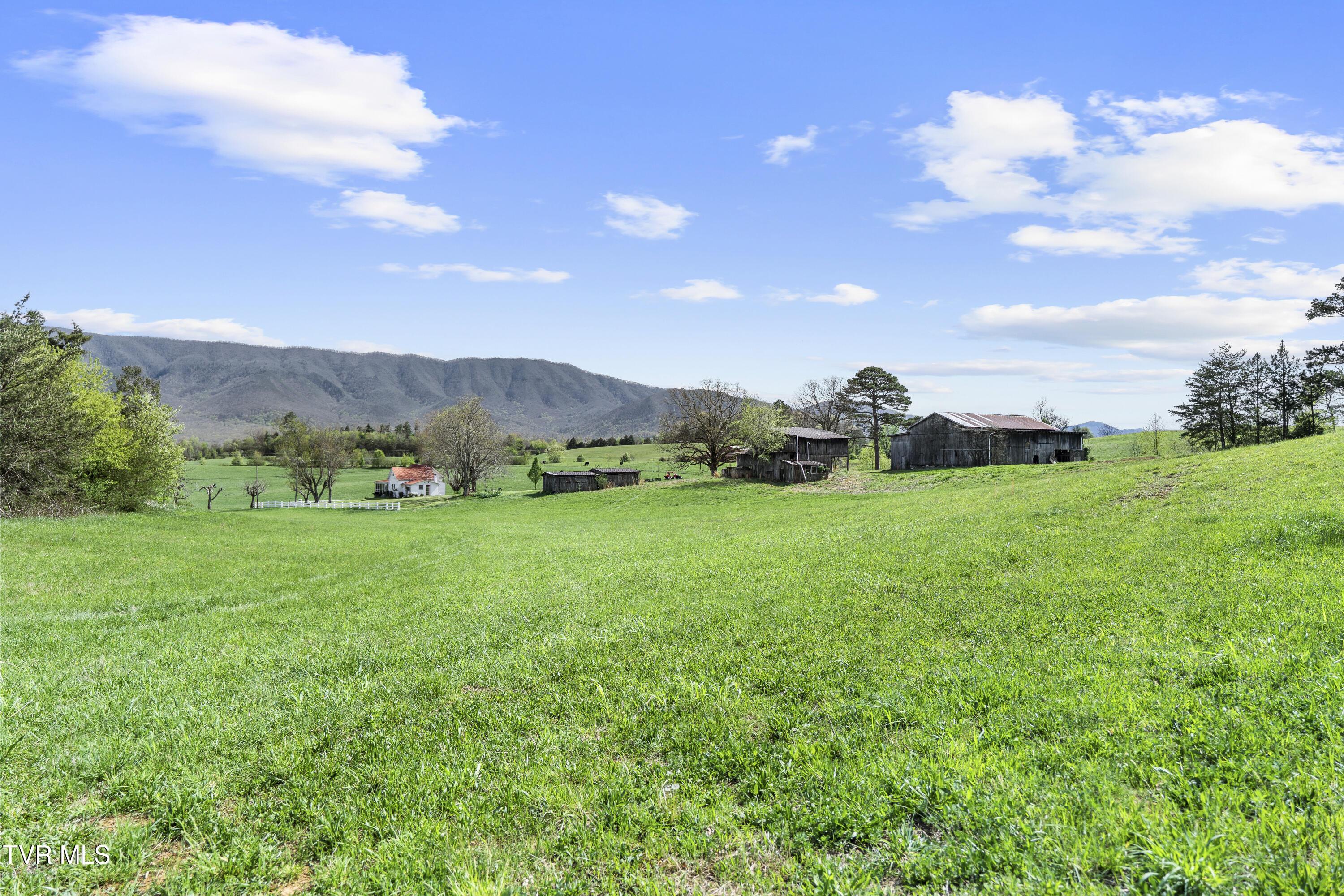 Image 2: DSC09733