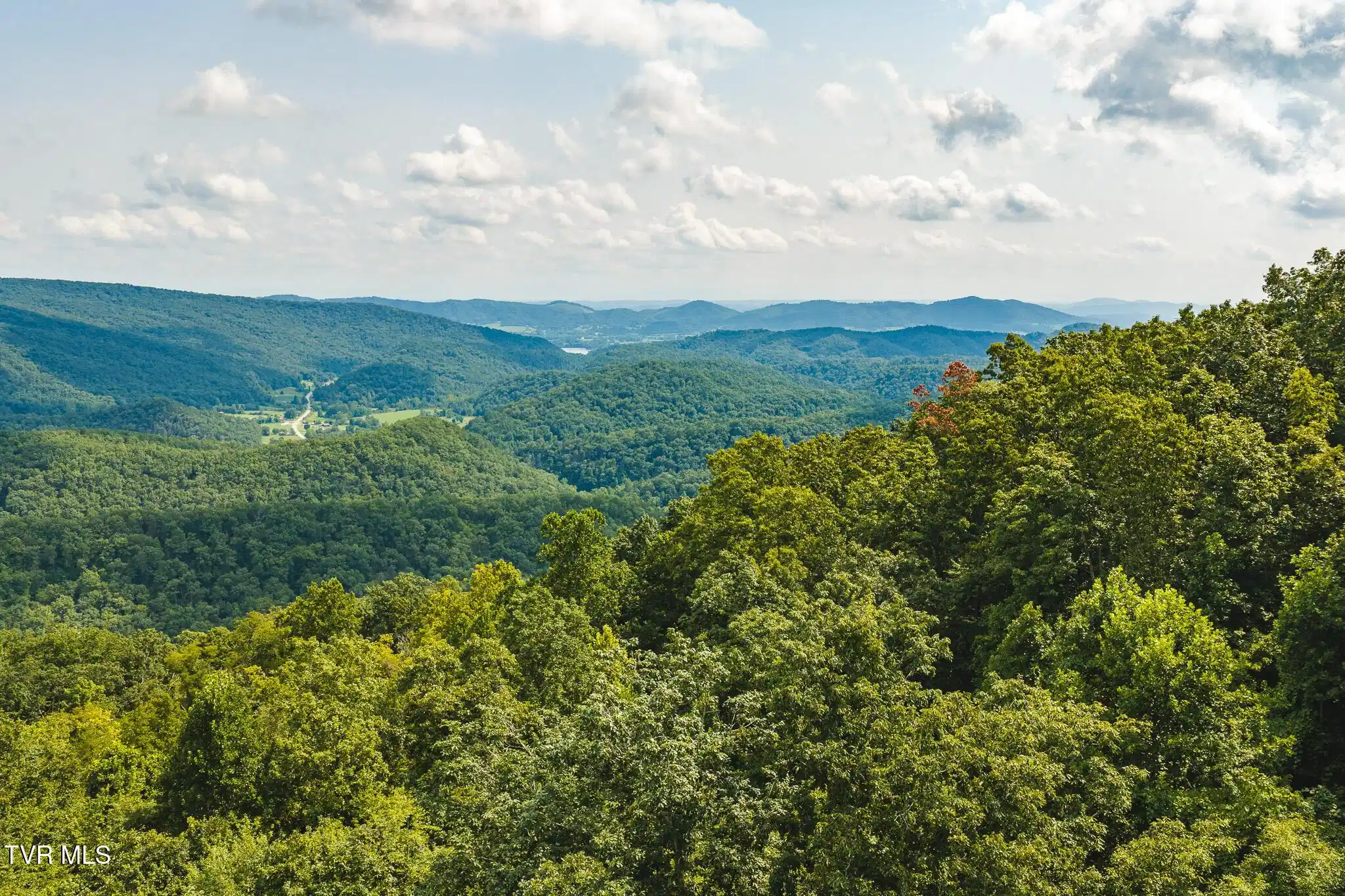 Image 1: DJI_20260810155235_0544_D