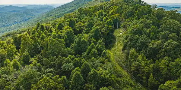 Image 2: DJI_20260810160103_0565_D