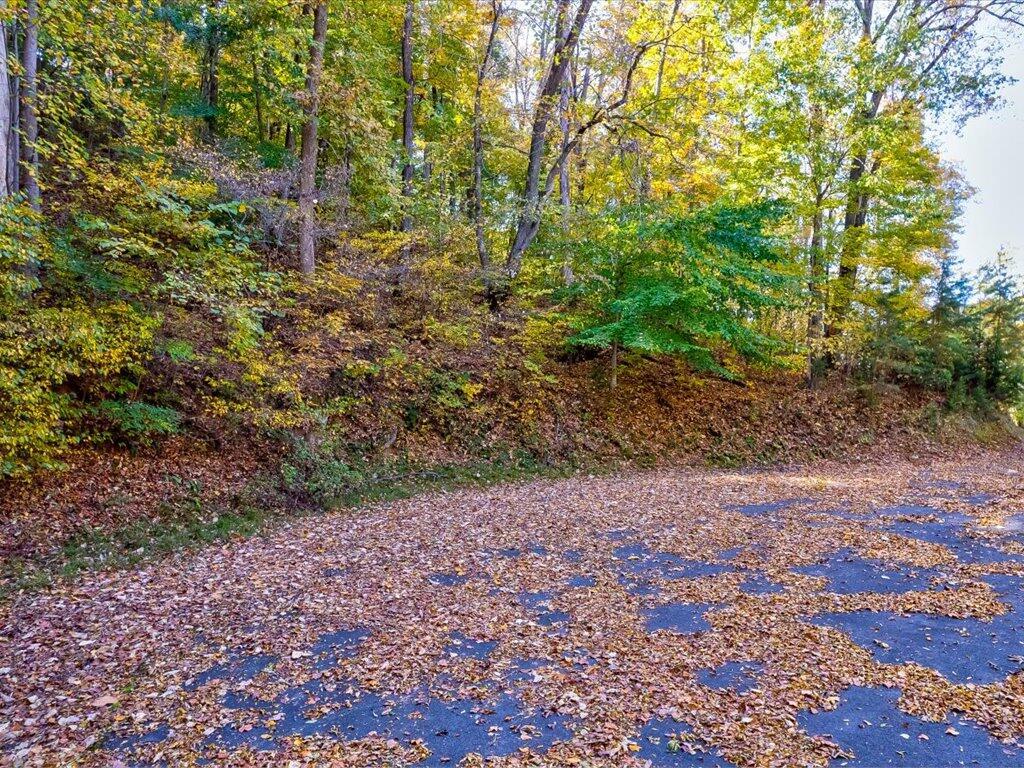 Image 3: Lot 37 Five Oaks Cir - 3