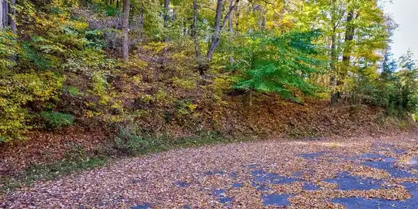 Image 3: Lot 37 Five Oaks Cir - 3