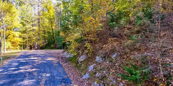 Image 4: Lot 37 Five Oaks Cir - 4