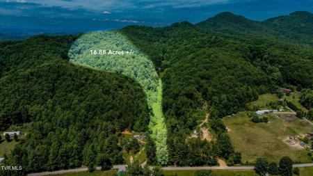 807 Wyatt Hollow Road