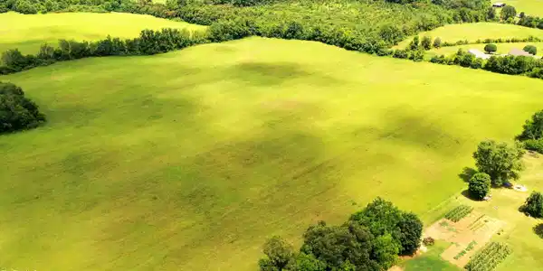 Image 2: DJI_0673