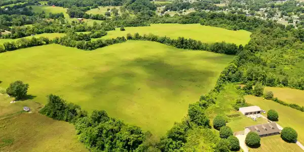 Image 3: DJI_0674