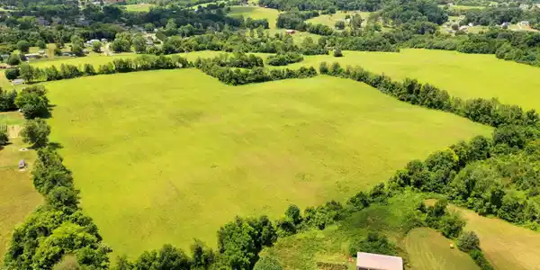 Image 4: DJI_0676