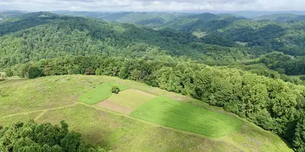 Image 2: _Pic2 (11)