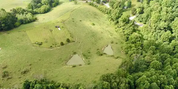 Image 4: _Pic4 (7)