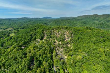177 Fork Mountain Road