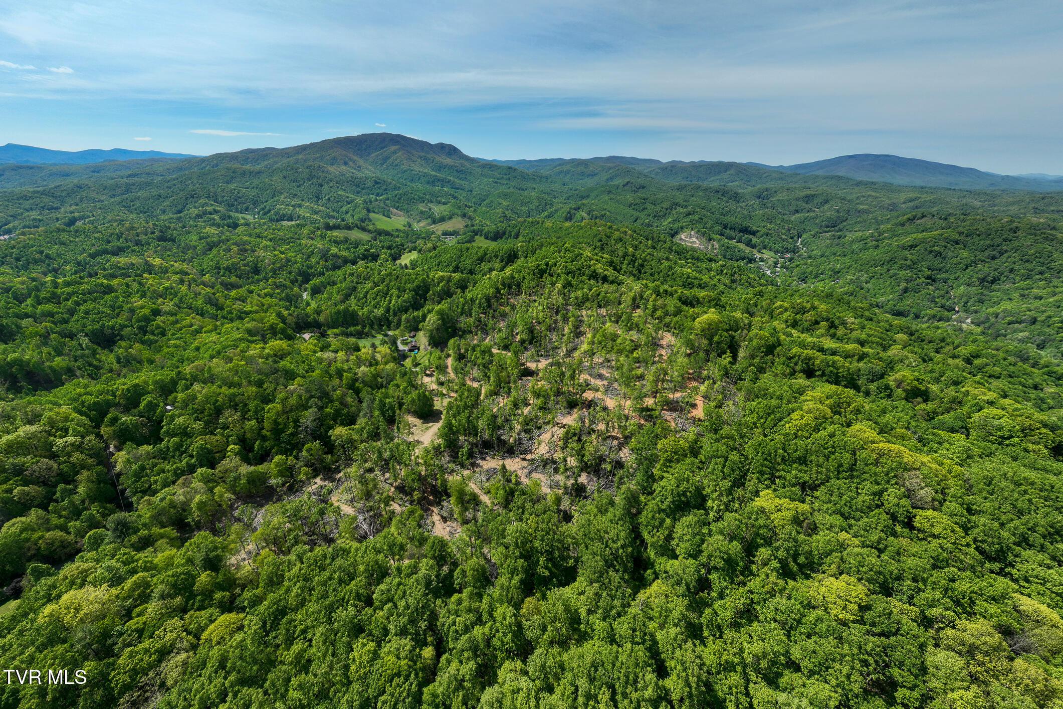 Image 2: 177 Fork Mountain Road (8 of 92)