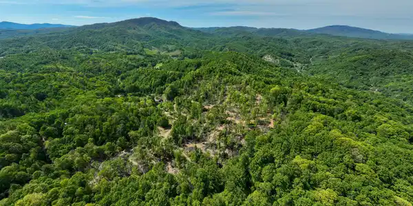 Image 2: 177 Fork Mountain Road (8 of 92)