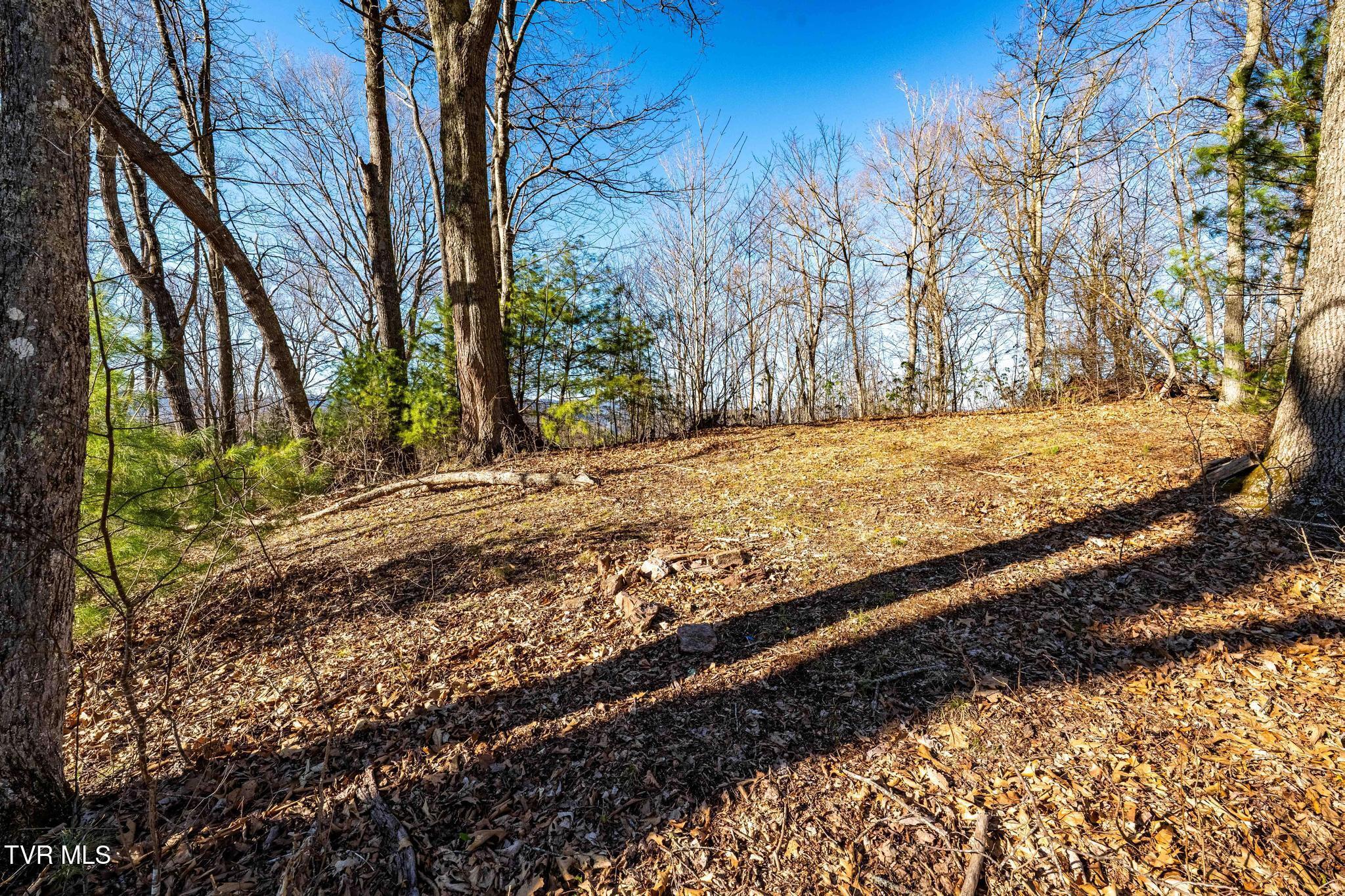 Image 4: TBD Lonesome Pine Trail (25 of 29)