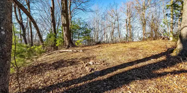 Image 4: TBD Lonesome Pine Trail (25 of 29)