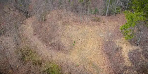 614 Tulip Poplar Trail