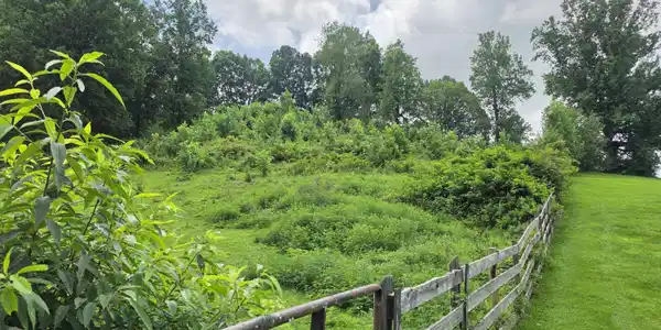 Image 4: 20260808_130027