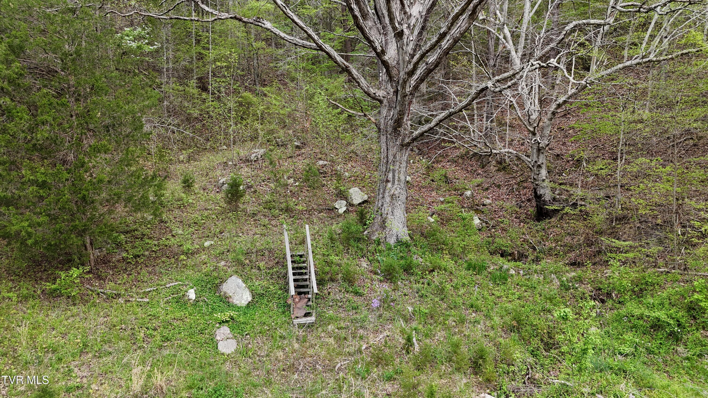Image 3: image00001