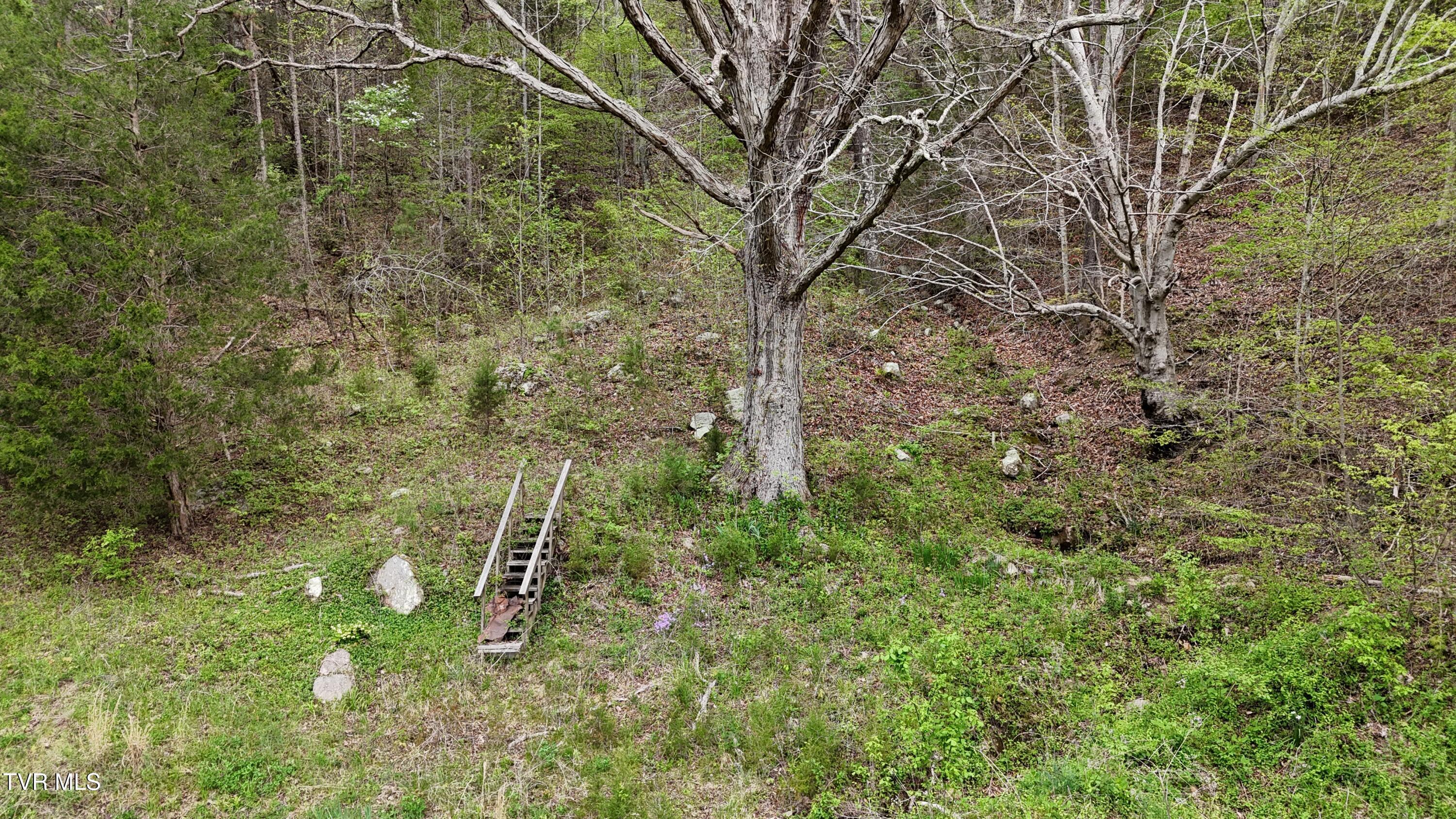 Image 4: image00002
