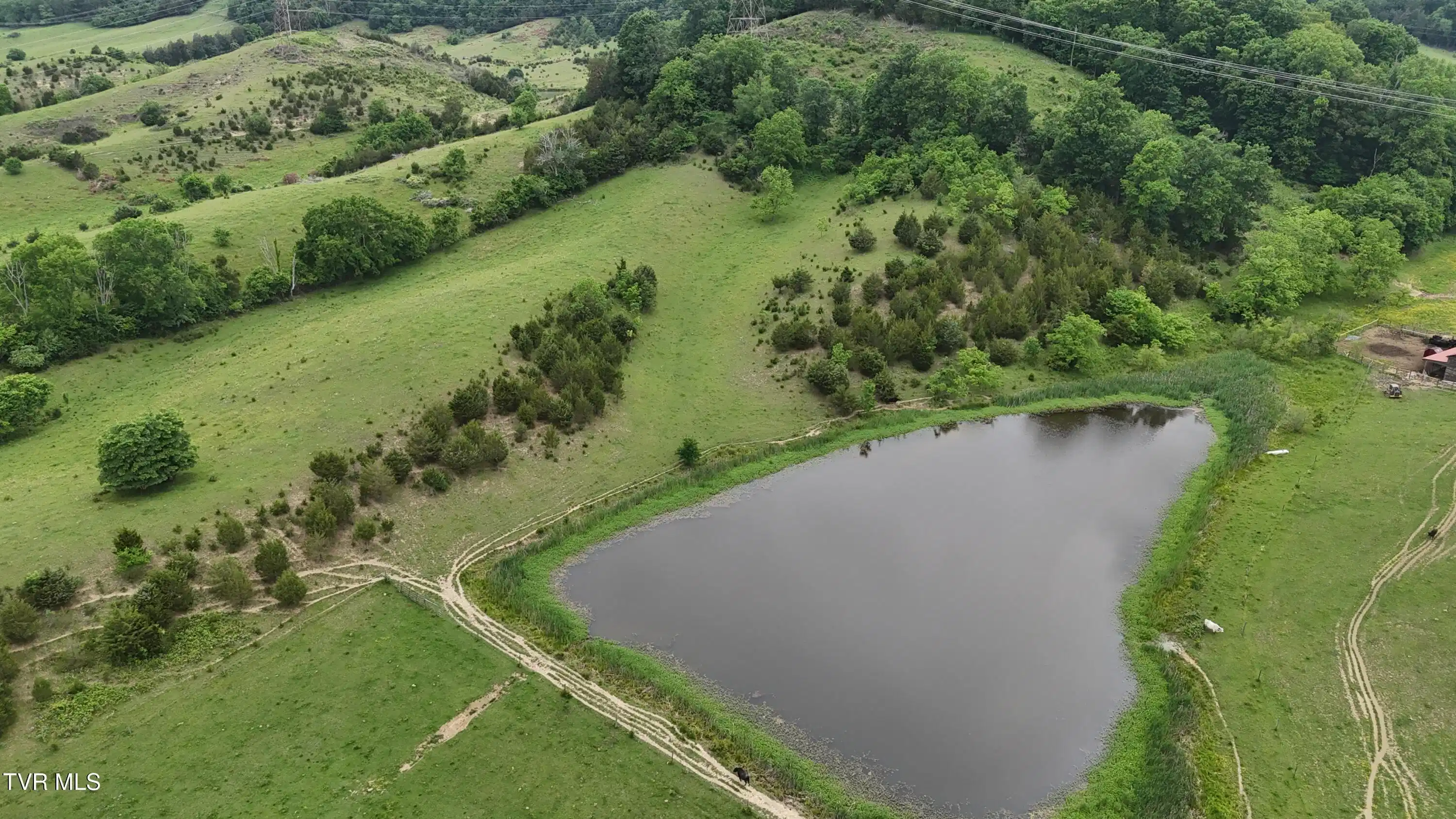Image 1: dji_fly_20250519_153756_0040_17476837395