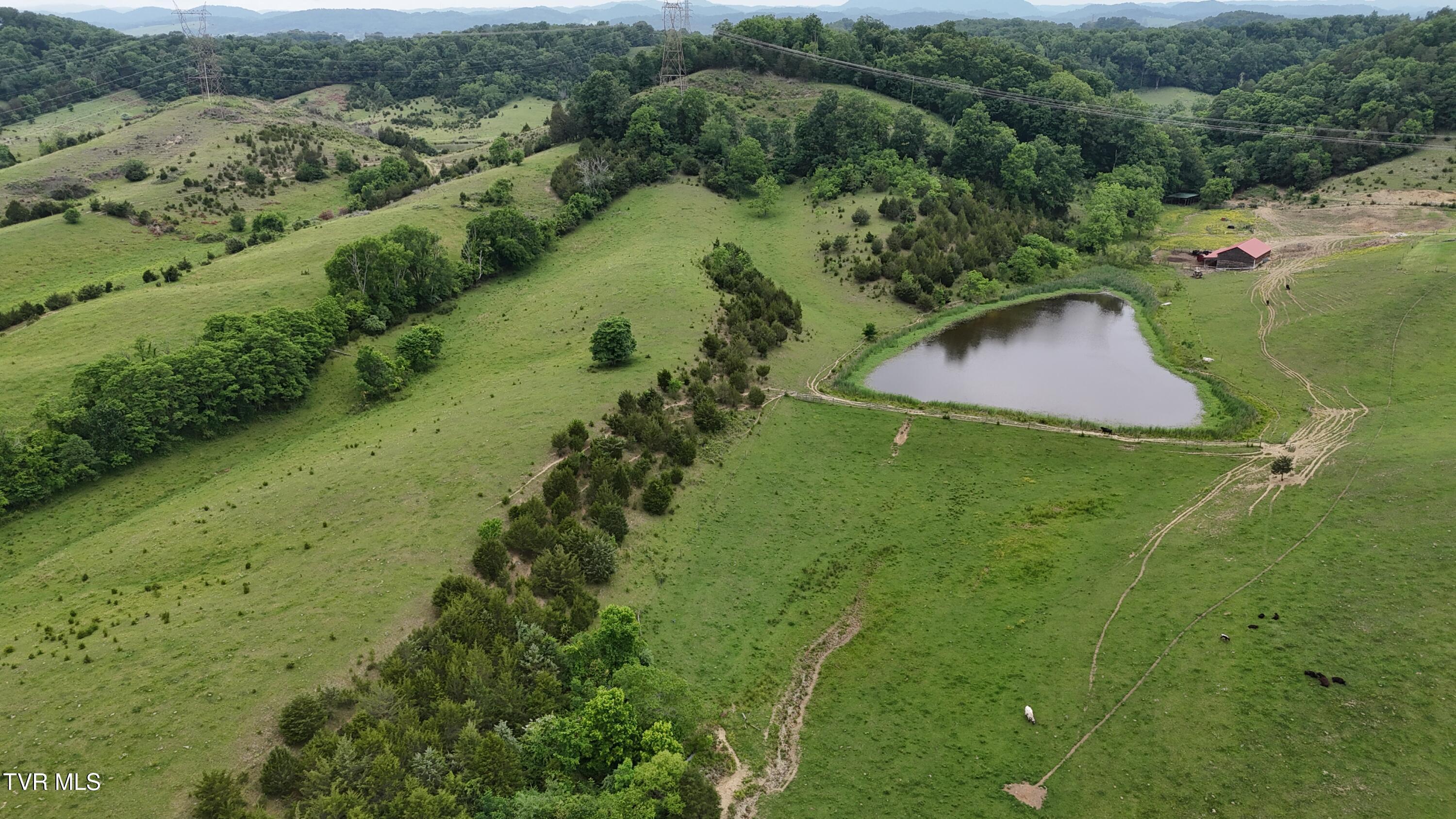 Image 2: dji_fly_20250519_153736_0038_17476837405