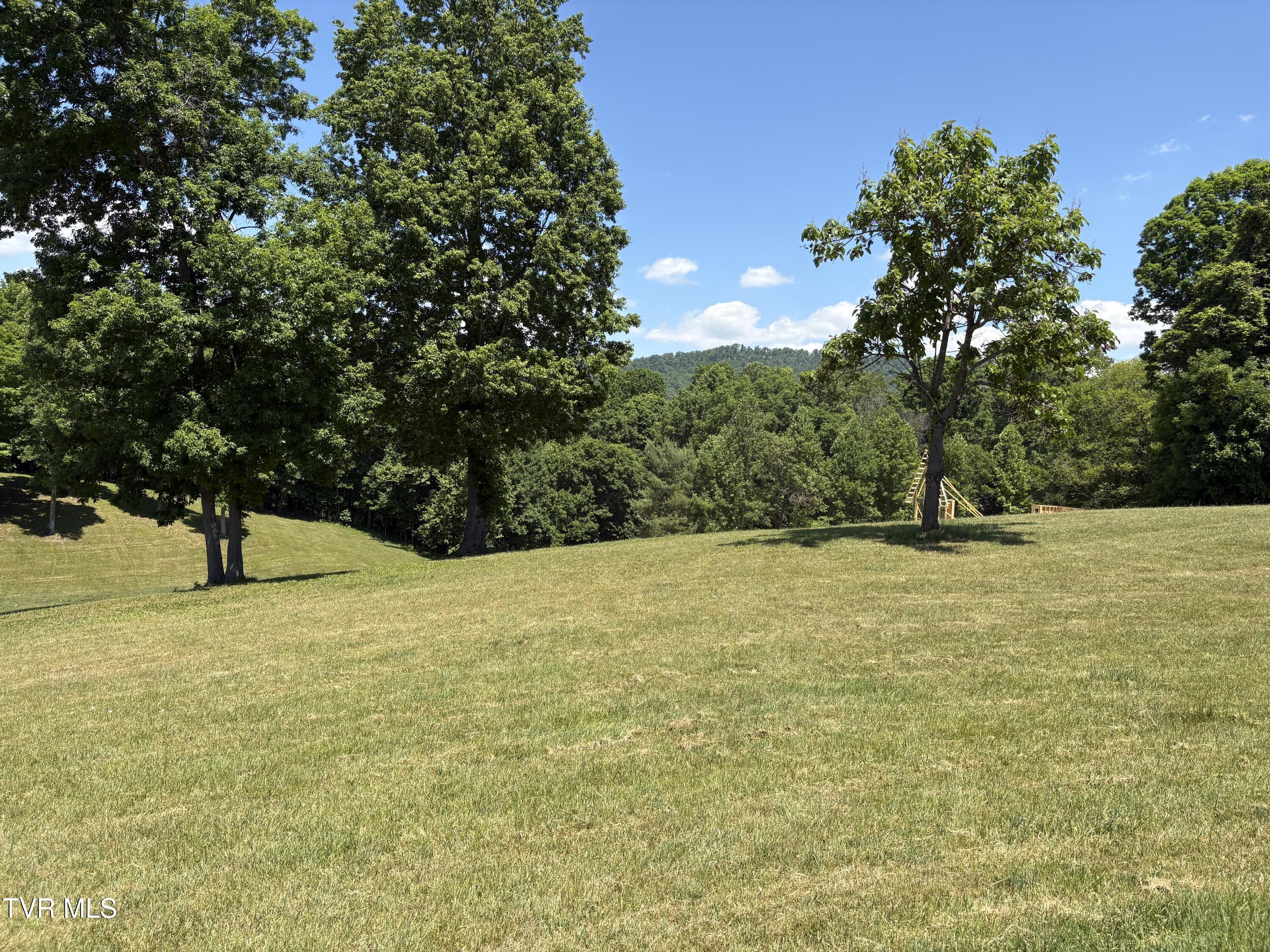 Image 3: IMG_1966