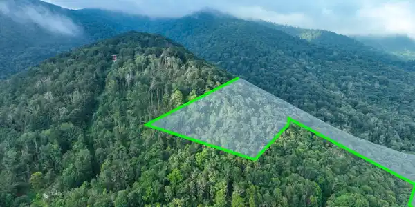 Image 2: Drone 1 - With highlights