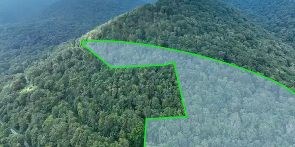 Image 3: Drone 2 - With highlights